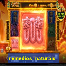 remedios naturais para diabetes